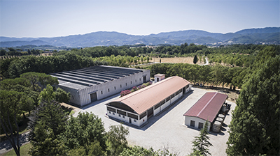 azienda.jpg